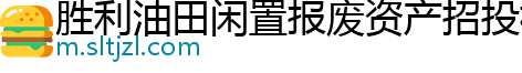 胜利油田闲置报废资产招投标系统